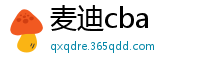 麦迪cba